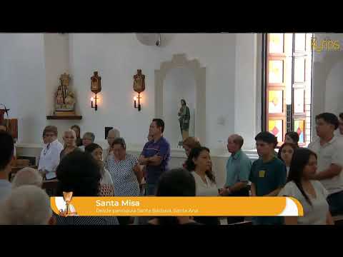 #EnVivo| Santa Misa domingo XXIV del Tiempo Ordinario.