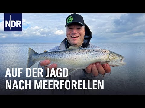 Angeln in SH: Die Hrubeschs auf der Jagd nach Meerforellen | NDR Doku