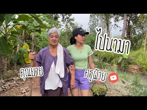 ไปนามา-ชีวิตแบบเรียบง่าย-แต่มี ไปนามา-ชีวิตแบบเรียบง่าย-แต่มี