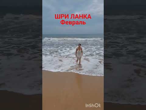 Шри Ланка #отдых #Индия #отдыхЗзимой #yogawoman #yogastretch #HeritageAhungalla
