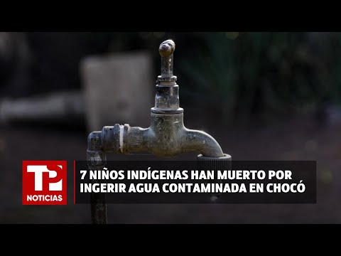 7 niños indígenas han muerto por ingerir agua contaminada en Chocó |22.01.2024| TP Noticias