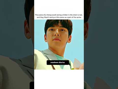 He saved the Cat from Danger 🥺❤️💫love story #kdrama #cdrama #shorts #love #funny #ceo #animal #reels poster