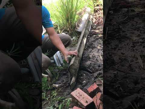 Will Your Vegetable Garden Last 20 Years If You Use Old Plastic Pipes?