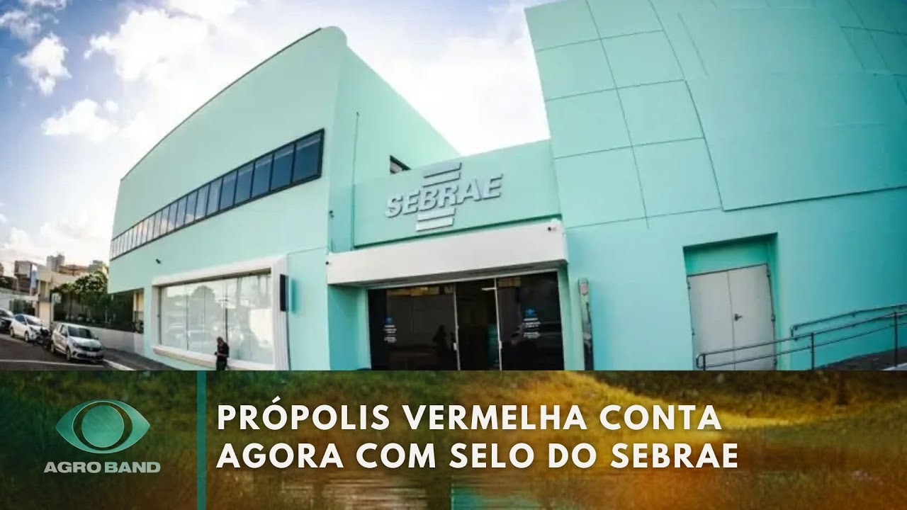 Própolis vermelha conta agora com selo do SEBRAE