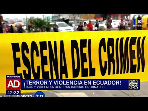 Terror y violencia en Ecuador