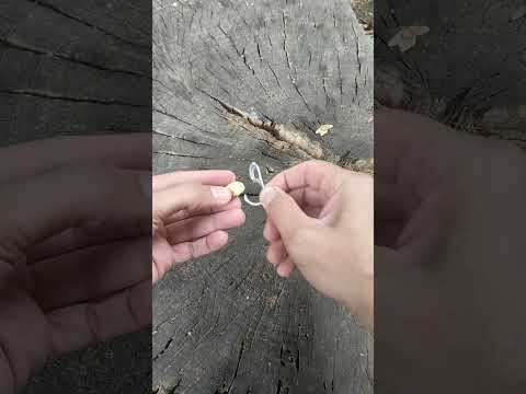 Camping Tips 💯Kampeerwenke👌#camping #viral #camper #fishing #balıkçılık