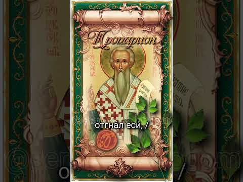 28 июня Перенесение мощей прп. Феодора Сикеота (ок. IX века)