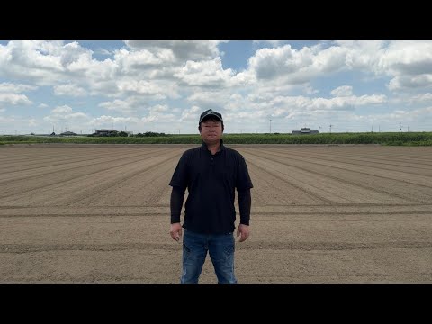 🇯🇵記録的猛暑で米にも異変か!?茨城 25/7/31