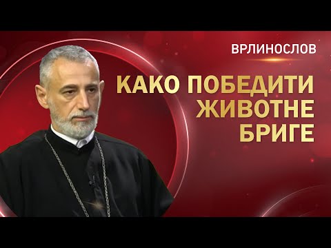 Врлинослов - Како победити животне бриге, протојереј-ставрофор проф. др Владимир Ступар