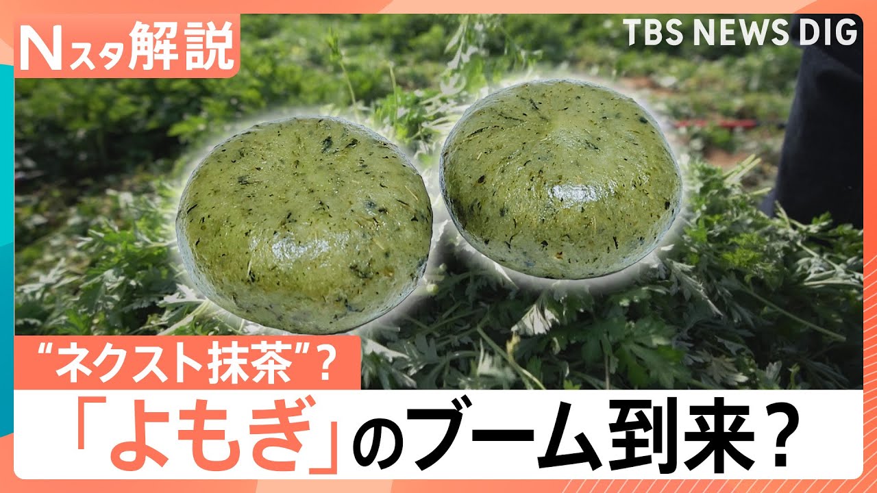 Wird Yomogi das neue Matcha? Japans neuer Food-Trend