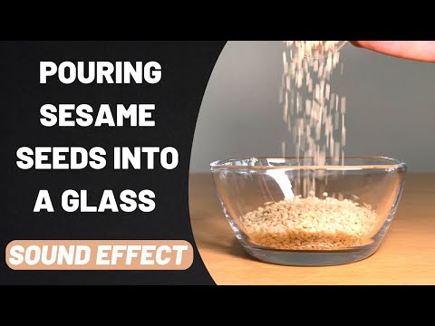 Pouring Sesame Seeds into a Glass Sound Effect Stereo High Quality 96kHz