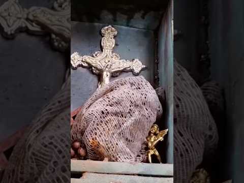 Porta joias COM UM IMENSO TESOURO! 😳 #viralvideo