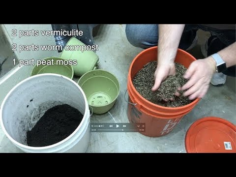 Potting Mix Formula for Seedlings and Large Indoor Plants