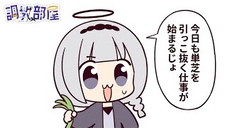 ⋆⸜ 調教部屋  ⸝⋆ ( 'ω' )【白百合リリィ / ビビドニア 】