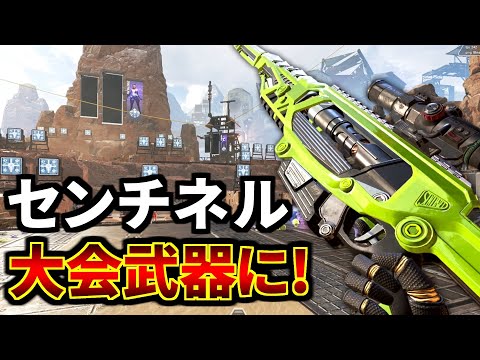 センチネルがApex南アジア大会でプロに【ガチ武器】として使われていた件 | Apex Legends