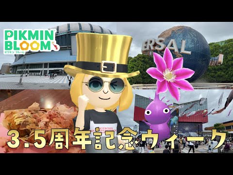 3.5周年記念ウィーク開催！大阪の街をブラブラしながら金のシルクハットをゲットするゾ！【ピクミンブルーム/PikminBloom】
