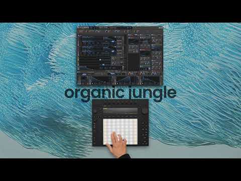 Phase Plant Expressive Suite - MPE Preset Demos