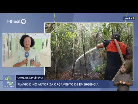 Flávio Dino autoriza orçamento de emergência para combater incêndios