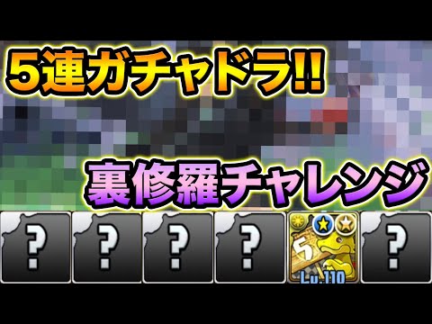 5連ガチャドラから出たキャラで裏修羅の幻界に勝てるのかチャレンジ！！！！！！！！【スー☆パズドラ】