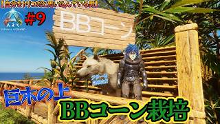 まるでウージャングル!? ARKでBBコーン再現してみた!! 【ARK: Survival Ascended】【自分をトリコだと思い込んでい