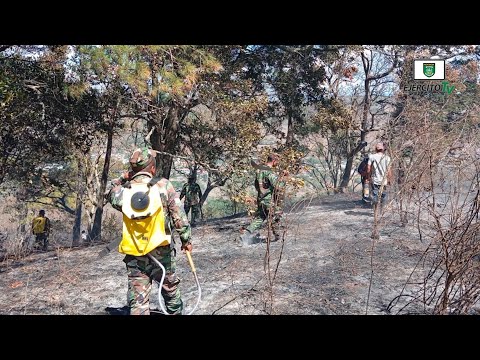 Ejército de Nicaragua participó en sofocaciones de incendios forestales en Jinotega y León