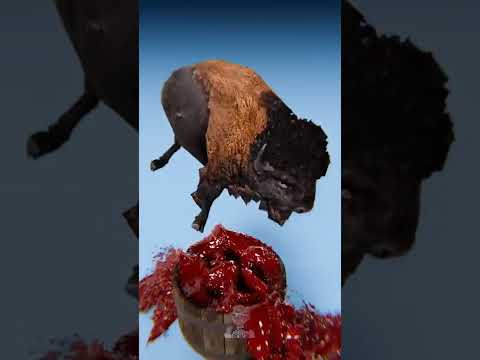 Sangre de Cabra vs Sangre de ballena😨👆  #curiosidades