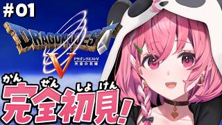 ドラクエV┊︎完全初見！はじめてのドラゴンクエスト5やよ！※ネタバレあり
