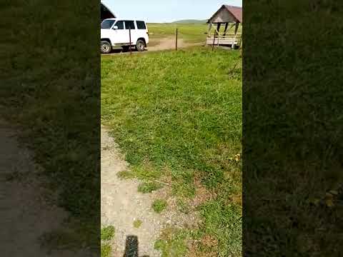 где-то на Алтае!))