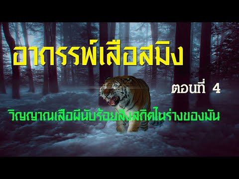 อาถรรพ์เสือสมิงตอนที่4ความจ