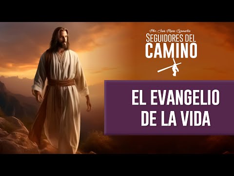 El Evangelio de la vida - Padre Jesús María Bezunartea