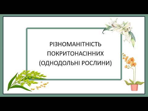 Різноманітність Покритонасінних (Однодольні рослини)