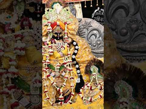 राधा बल्लभ लाल की जय 🙏🙏#viralvideo