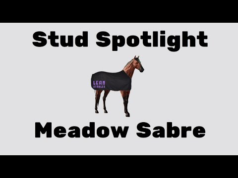 Meadow Sabre RTF: The Best Value SS- Speed Horse? - Stud Spotlight