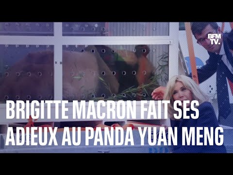 Brigitte Macron a fait ses adieux au panda Yuan Meng qui s'envole vers la Chine