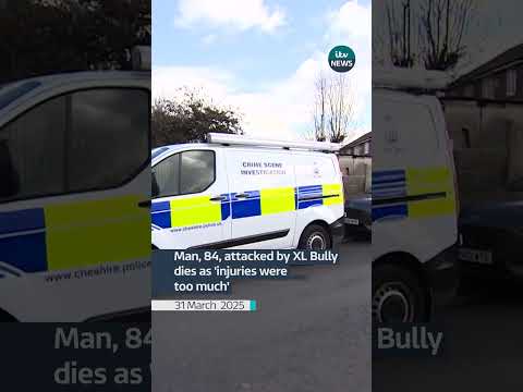 Man, 84, attacked by XL Bully dies as 'injuries were too much' | ITV News