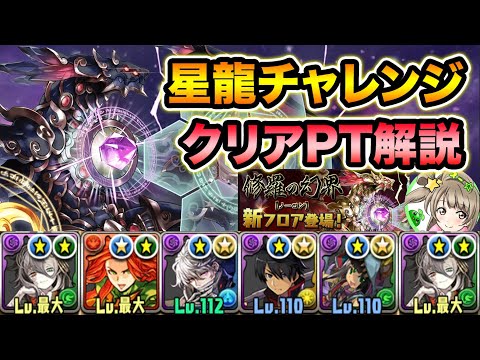 【制限時間90分】星龍チャレンジ生放送のクリアPT紹介！スキルを打つポイントも簡単に解説！機構城の絶対者【スー☆パズドラ】