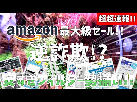 Amazon大セールが凄い！安すぎて小さいやつと同じ価格になったフィルターも登場！#699【アクアリウム】