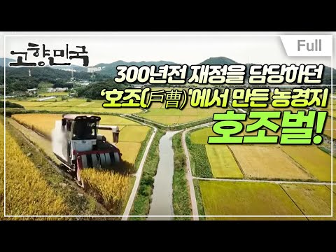 [Full] 고향민국 - 시흥, 물왕호수와 호조벌의 가을