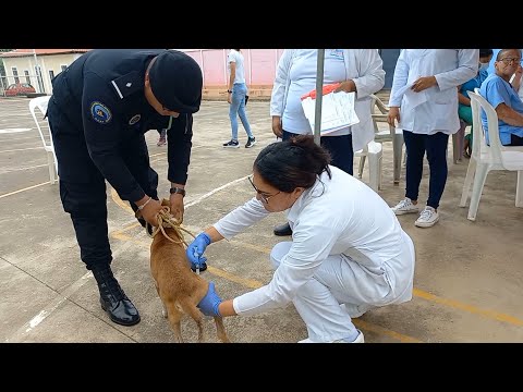 Exitoso el primer día de la Campaña Nacional de Vacunación Antirrábica Canina 2023 en Carazo