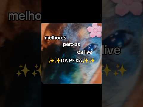 editado pela diva: @ST4R-STAYY #foryou #roblox #fy #memes #99noitesnafloresta #fypage