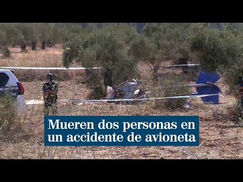 Mueren dos personas en un accidente de avioneta en Niebla tras estrellarse en un olivar
