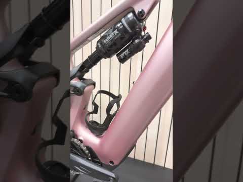 Specialized Levo comp carbon champagne 2025