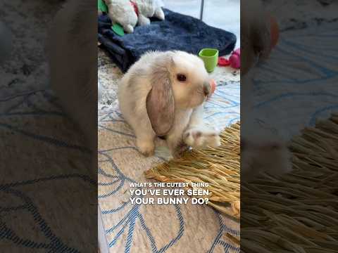 Yeah I’m adorable I know