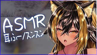 ⚡ASMR / KU100 / 耳ふー・スンスン - Huu / SunSun -【猫小夜くろえ/Vtuber】