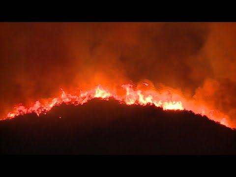 Alerta roja por inusual incendio forestal: 350 hectáreas quemadas en Zapallar y Papudo