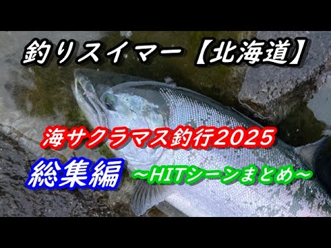 【海サクラマス釣行】～HITシーン総集編2025～