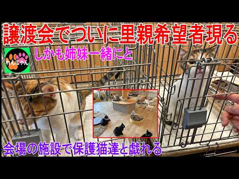 譲渡会でついに里親希望者現る