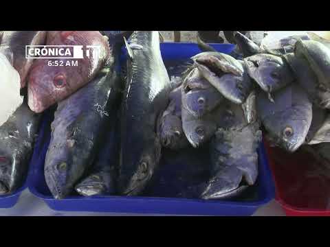 Managua: Delicias del mar y mariscos se ofertan en la capital - Nicaragua