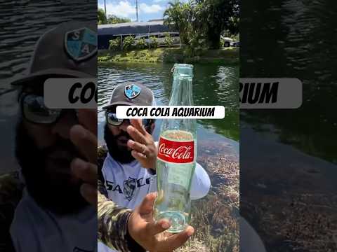 World’s 1st Coke Bottle Aquarium