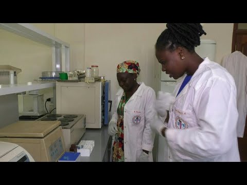 Deux Camerounaises récompensées pour leurs recherches sur les plantes médicinales | AFP